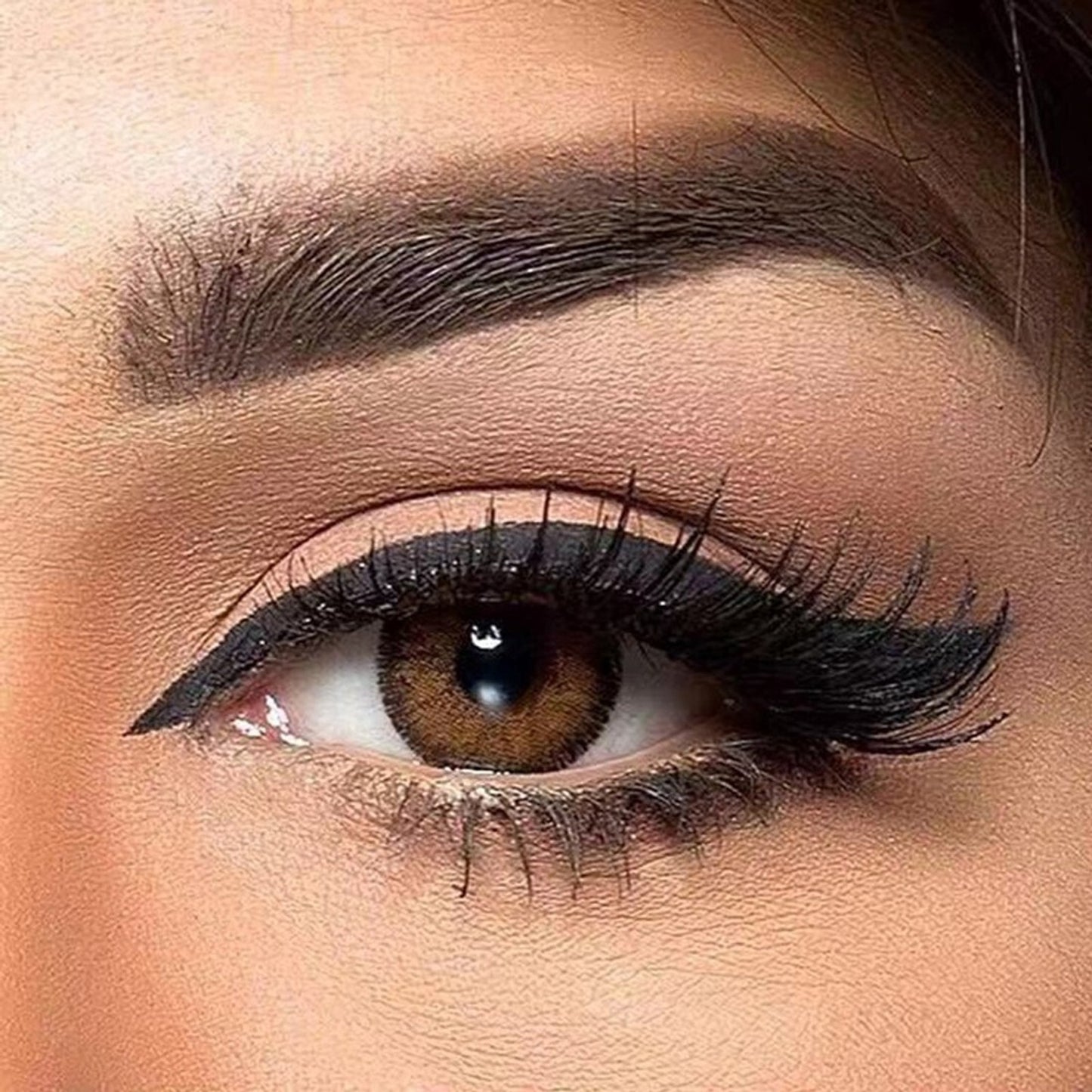 Royal Empire Weekly Disposable Dark Brown Colored Contact Lenses