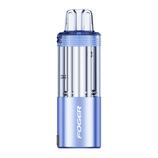 Foger disposable vapes Blueberry Watermelon