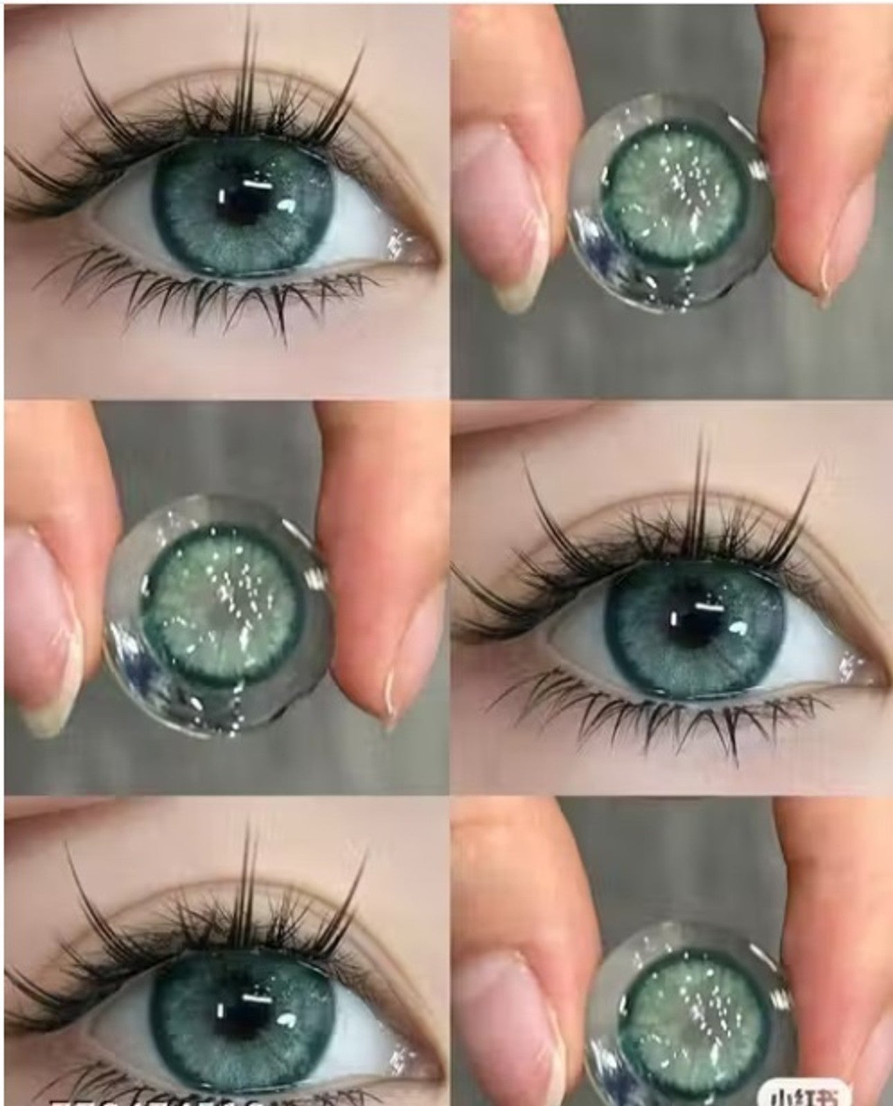 Iapex  Daily Disposable Contact Lenses